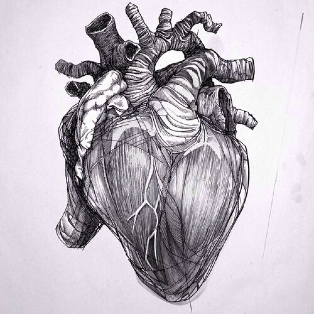 Flav0red's profile picture. Hell o