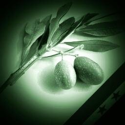 Ibnqasiyoon's profile picture. لقد أرسلنا رسلنا بالبينات وأنزلنا معهم الكتاب والميزان ليقوم الناس بالقسط.. 

كيف يقدس الله أمة لا يأخذ ضعيفها حقه من قويها، وهو غير مُتَعْتع؟ 

RT≠Agree