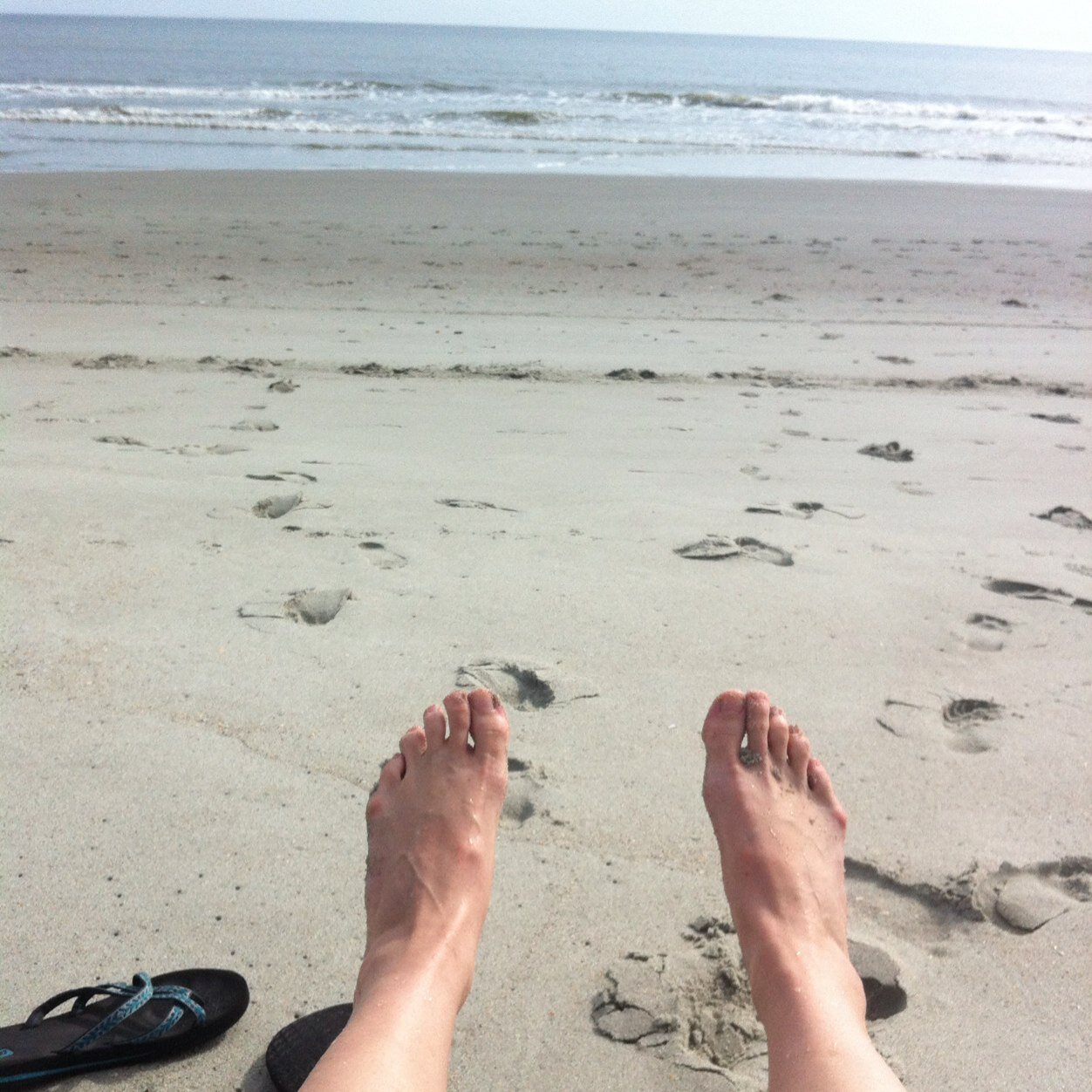 Running, baking, knitting, two-dog-mom paramedic. Now an old-lady med school applicant.