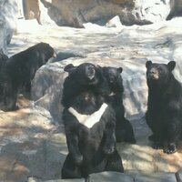 KKK (@ekzm0325) 's Twitter Profile