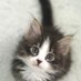 KITTY QQ (@xcuteme1) Twitter profile photo KITTY QQ (@xcuteme1) Twitter profile photo