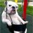 GeoPBurdell's profile image