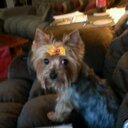 Bill Goebel - @bngoebs26 - Twitter