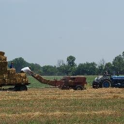 colebug419's profile picture. 