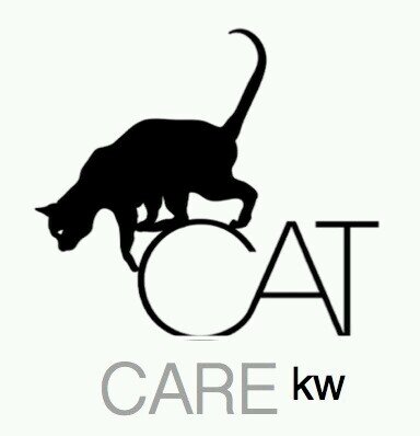 Believe it or not: Taking care of cats is our responsibility, feeding them is our duty. Insta @catcarekw
