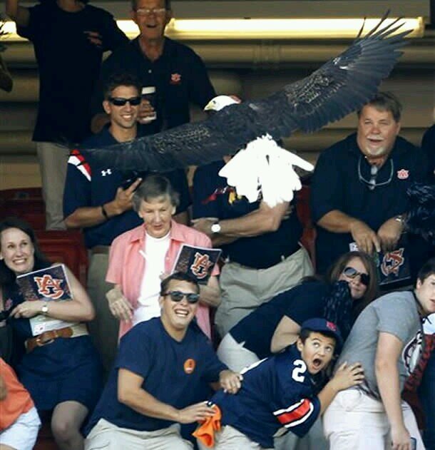 Drunk_Nova's profile picture. 