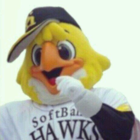 makeprogress41's profile picture. 伊波の五右衛門ならぬドラえもん。