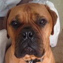 Jason Brann - @Branny20 - Twitter