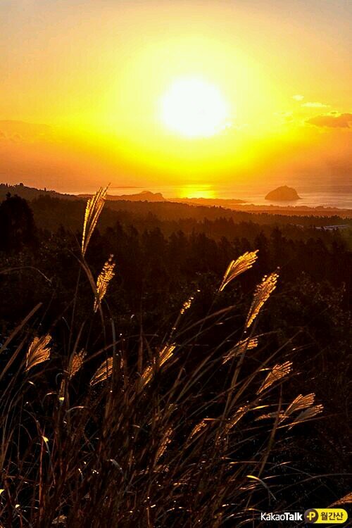 kimss1111's profile picture. 