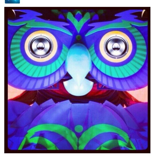 #TeamNoSleep Follow me for everything #EDC related, #EDC pictures Videos #TagMe PLUR 
IG : @EDC_promos 
Snapchat : edc_promos