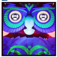 EDC Promos (@edc_promos) 's Twitter Profile