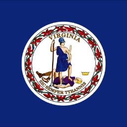 These aren't Virginia Problems, they're Northern Virginia Problems & anyone who lives here will tell you that's a big difference.
