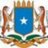 OIC Somali Mission