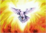 Sent One. Bringing destruction to the Kingdom of Satan and Life to dead spirits.                            -Teens of the Kingdom-
