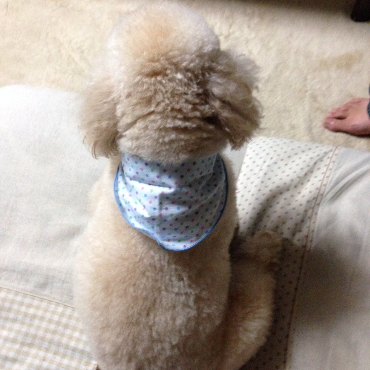 ayrton_senna2's profile picture. 