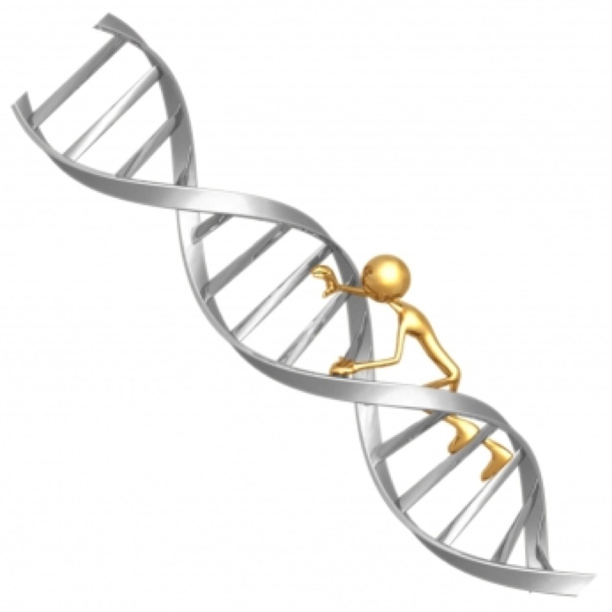 Adam's Genetics - Preventive Healthcare By knowing the underlying genetic risk of developing diseases, U can now focus on preventive therapies well in advance.