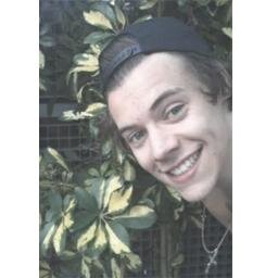 free follow from @daisieliam :)