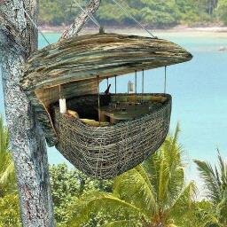 Bringing You The Coolest Tree Houses In The World