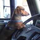 Virginia Ann Rollins - @rollins_56 - Twitter