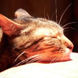 claude_ribeiro's profile picture. Expert en communication d'entreprise. Intérêt personnel pour l'éthique alimentaire.