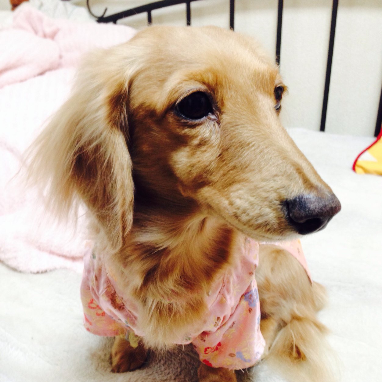 1Glauben's profile picture. 