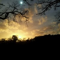 steandme (@steandme) 's Twitter Profile