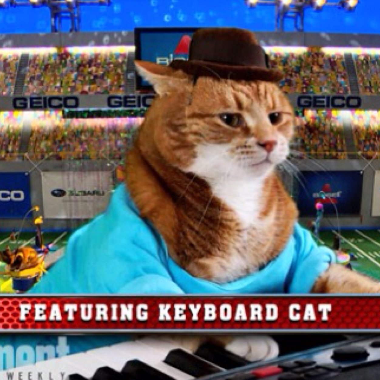 Twitter / Account Suspended