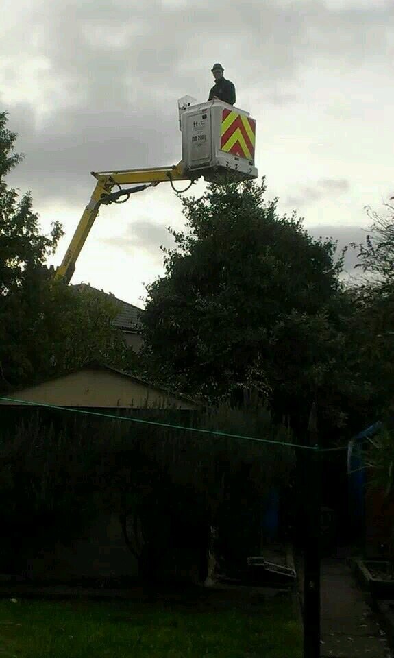 Dize76Godfrey's profile picture. 