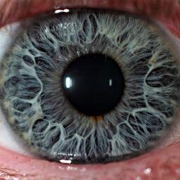 MicroPicx Profile Picture