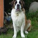 Torrey Walker - @NUtailgater - Twitter