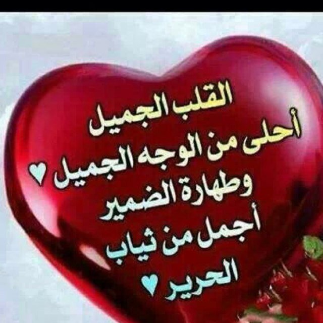 معلمة , ومرشدة صحية ومرشدة شراكة ( ارتقاء) ومحبة للحياة