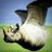 DariuszFirma's profile image