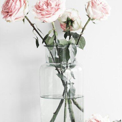 * حساب صدقه لجدتي ♡ .

- جدتي لكِ حفيده بكتَ لأجلك كثيراً '(