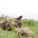 Violeta Navarro - @Violeta2792 - Twitter