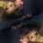 Profile Picture of ♍LaTasha Dani' (@@i_AM_SOFANCY) on Twitter