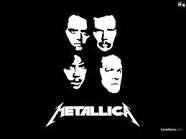 Engineer|Huge METALLICA FAN|Heavy Metal Fan|Mixed Martial Arts Fanatic|Basketball Addict|Back Packer|Mountaineer|Selfish Bastard|