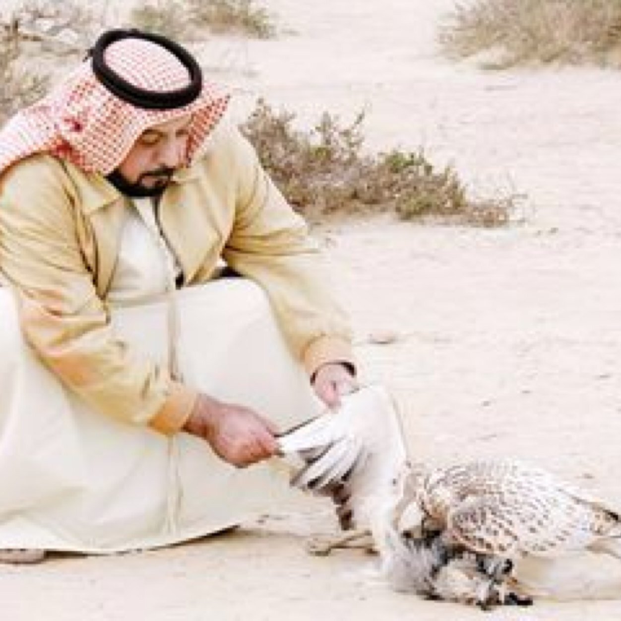 حساب عام تجدون فيه كل ما هو مميز