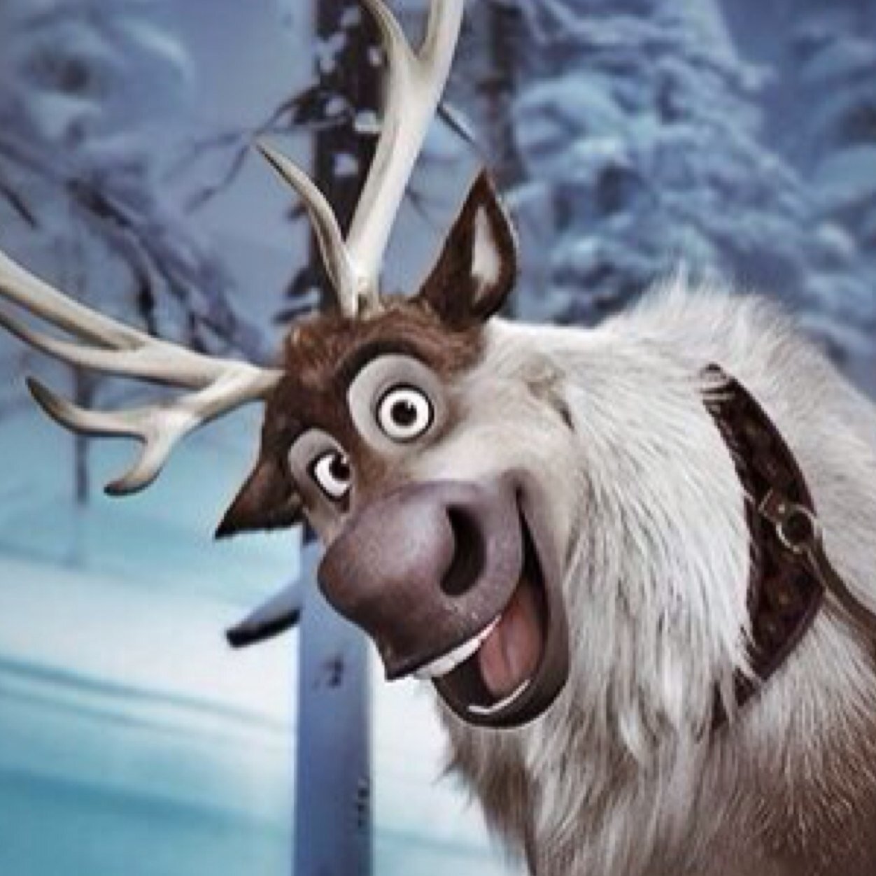 SvennnSvennnn's profile picture. Carrots.