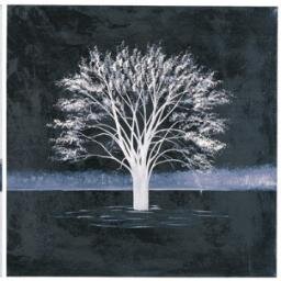 camagaci_'s profile picture. BİRAZ DÜŞÜNÜN.