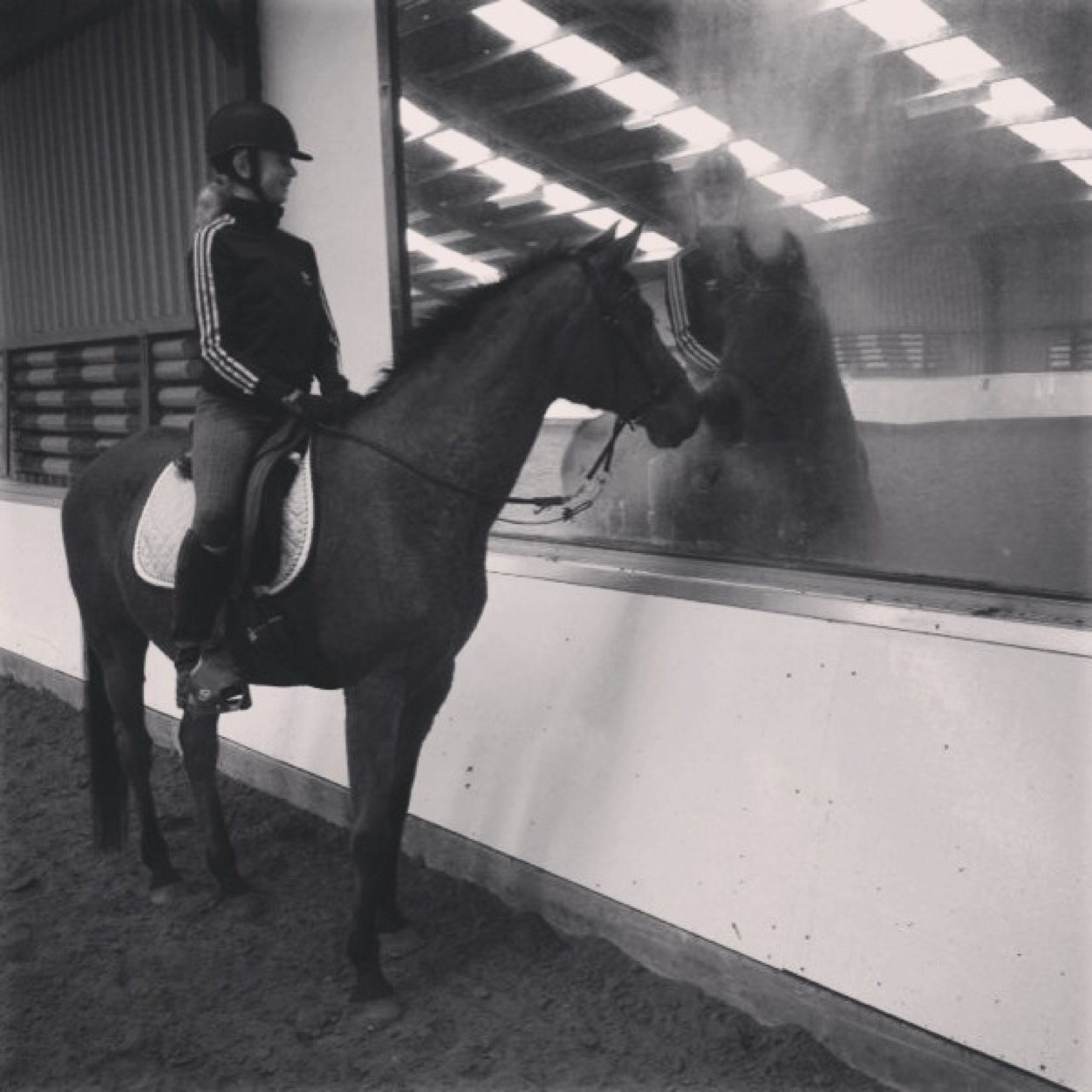 Love my horse ❤and my best friends nina en zoë