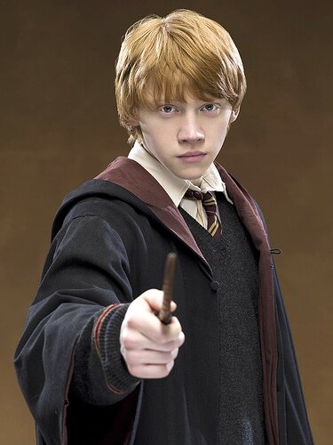 Ron Weasley, segundo mas pequelo de 7 hermanos. Pelirrojo. Me encanta besar a chicas en la camara de los secretos.
Roll HFP2.