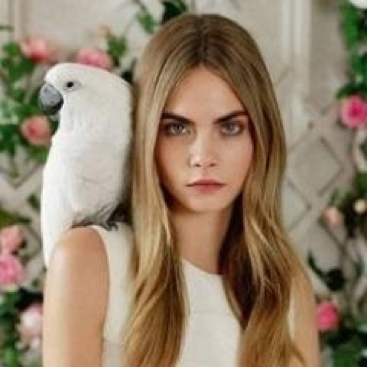 Addicted to eyebrows. I use to look at everyone's eyebrows.I hate bad eyebrows. Make sure your eyebrows look good enough to be nice as{caradelevingne} eyebrows.