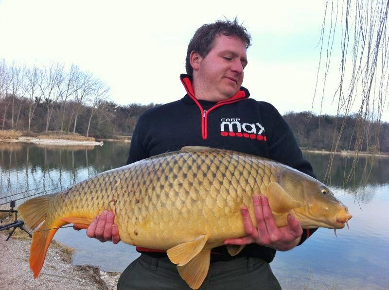 GrazioMaramotti's profile picture. 