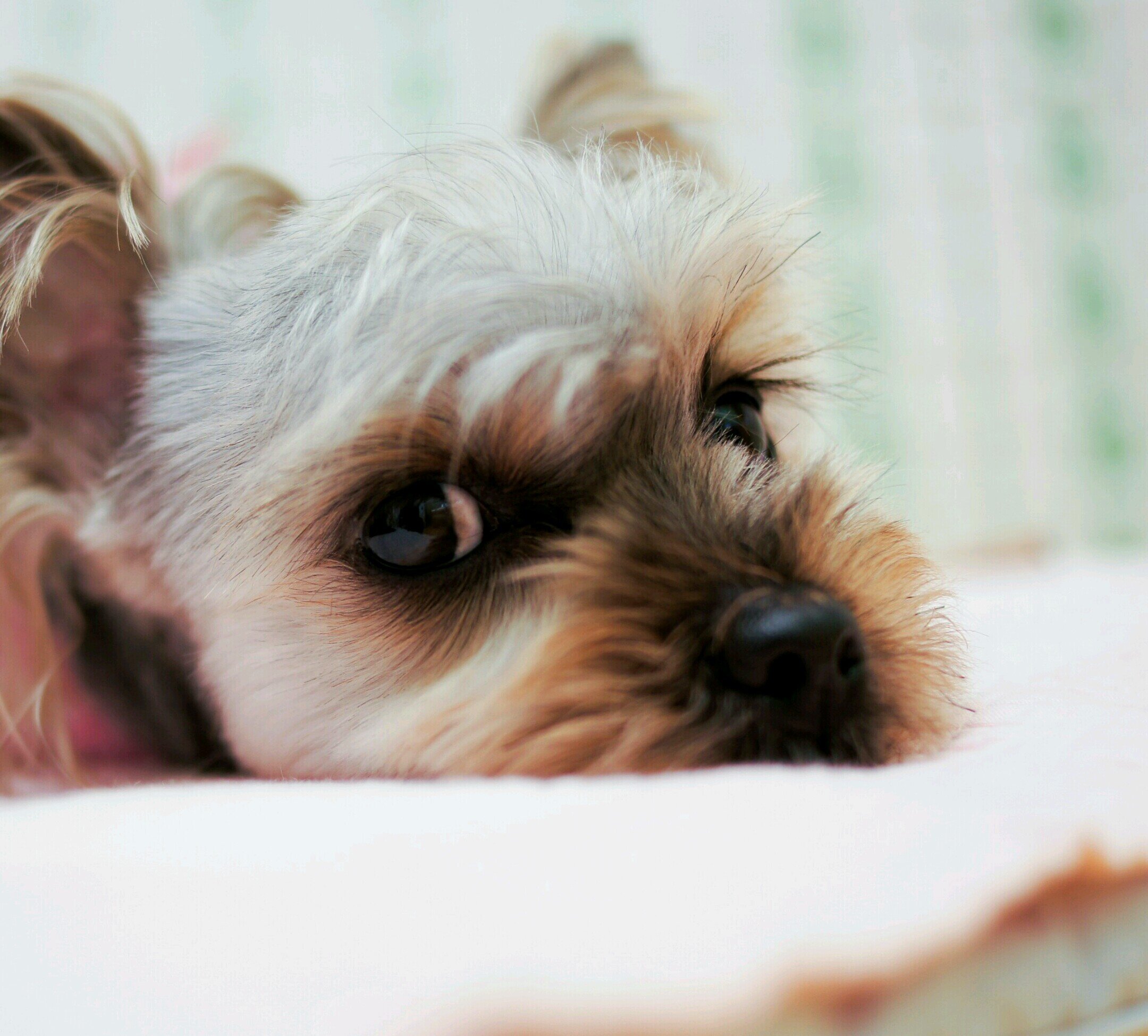 chokwangsun's profile picture. ...