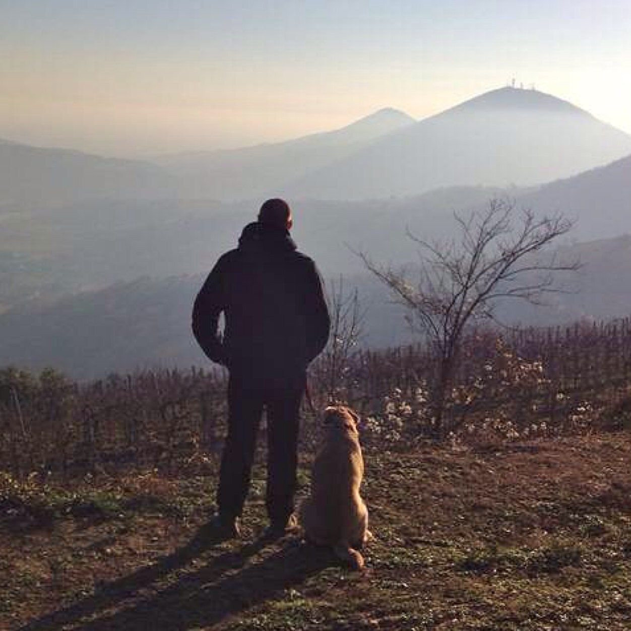 luca_destefano's profile picture. 