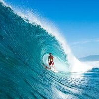 Taj Burrow (@tajburrowaus) 's Twitter Profile