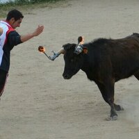 David pua (@davidmuozveliz) 's Twitter Profile Photo David pua (@davidmuozveliz) 's Twitter Profile Photo