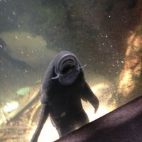 chris (@chrisathacliath) 's Twitter Profile
