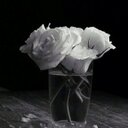 lara (@1968_lara) Twitter