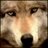 azukkquft's profile image